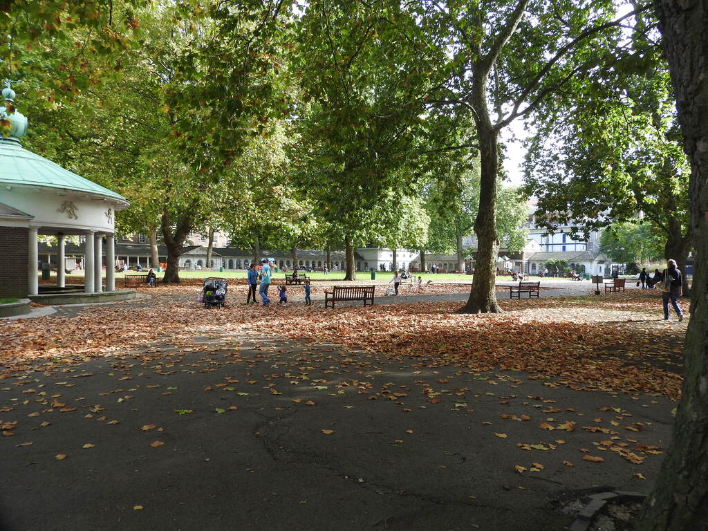 Corams fields
